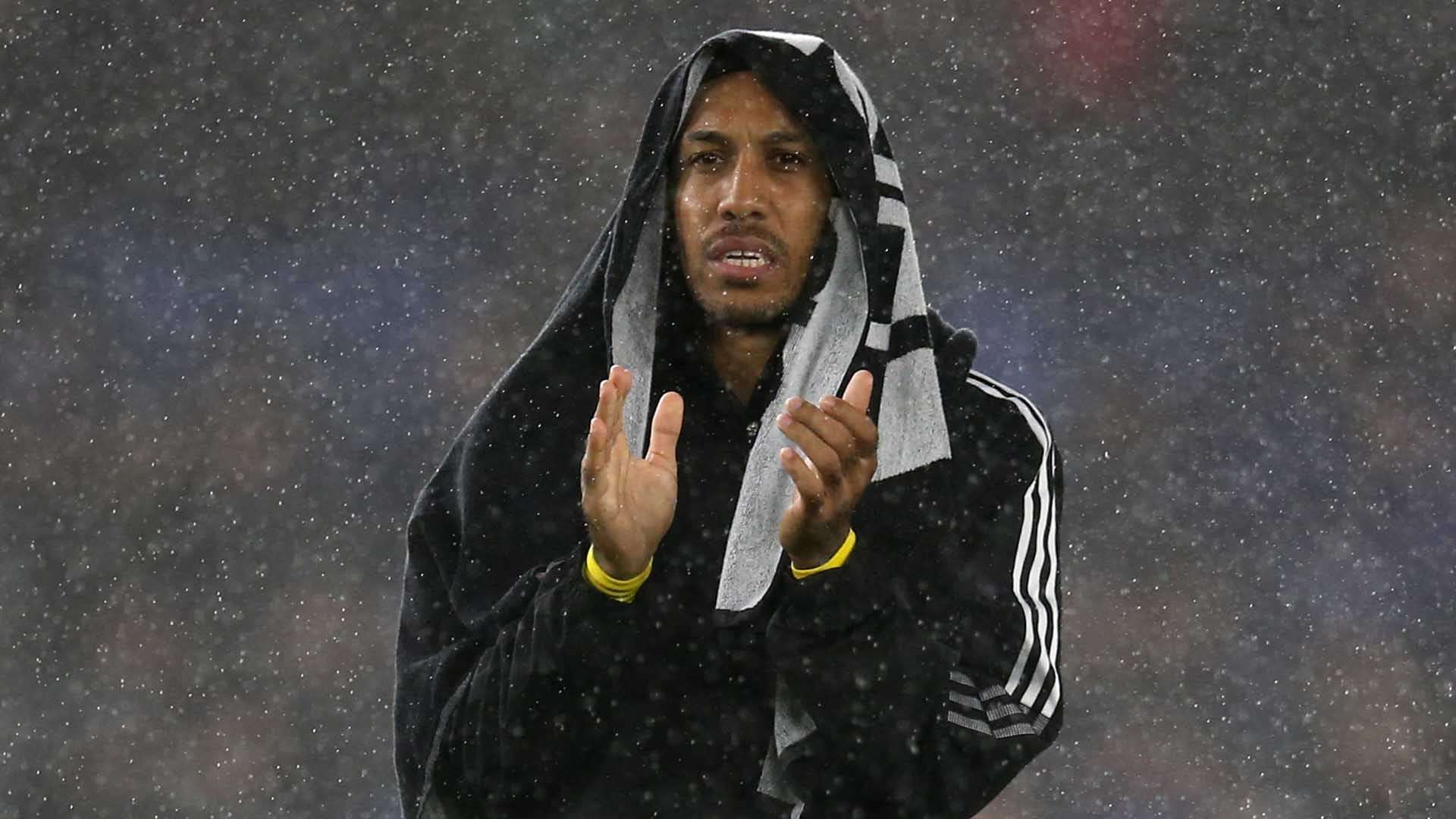 王雅繁经历 王雅繁经历